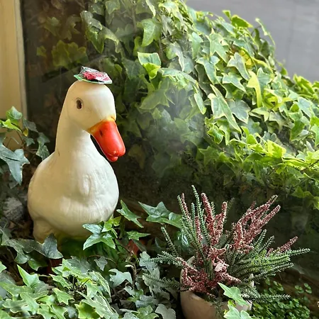 公寓 Lovely Appartement-2rooms-6p Sunshine-quiet-subway *