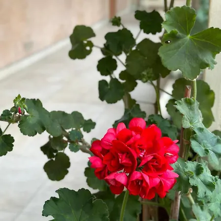 Lovely Appartement-2rooms-6p Sunshine-quiet-subway